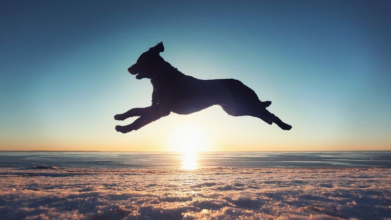 Kaffegram story photo 3